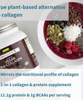 Vegan Collagen Protein Powder + Zinc Complex Vegan Bundle for Skin, Hair, Nails, Complete Collagen Boosting Formula + 25mg Chelated Zinc, by Igennus