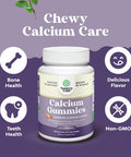 Natures Craft High Absorption Calcium Gummies with Vitamin D3 - Delicious Calcium Gummies for Adults - Chewable Calcium and Vitamin D Supplement for Bone Health and Immune Support - Gelatin- 60ct (2 Pack)