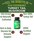 Organic Turkey Tail Capsules - Usa Grown Made With Real Turkey Tail Mushroom. Immune System Support Naturally Harvested Mushroom