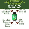Organic Turkey Tail Capsules - Usa Grown Made With Real Turkey Tail Mushroom. Immune System Support Naturally Harvested Mushroom