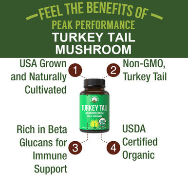 Organic Turkey Tail Capsules - Usa Grown Made With Real Turkey Tail Mushroom. Immune System Support Naturally Harvested Mushroom