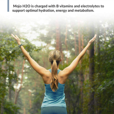 Biotrust Mojo H2O Natural Water Enhancer Drops B Vitamins And Electrolytes Sugar- Zero Calories Naturally Flavored & Sweetened (Strawberry Watermelon 4 Pk)