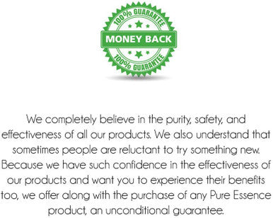 Pure Essence Labs LiverEssence - The World's Best Absorbed Milk Thistle Extract With Synergistic Liver Support Factors - 60 Vegetarian Capsules