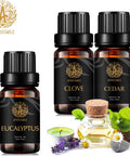 Aromatherapy Cedar Essential Oil Set for Diffuser, 3X10ml 100% Pure Eucalyptus Essential Oil Kit for Humidifier - Eucalyptus, Cedar, Clove Essential Oil Set, Aromatherapy Clove Essential Oils Kit