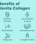 Vanilla Hazelnut Collagen Bundle GrassFed Hazelnut Collagen with Lions Mane Mushroom Vanilla Collagen with Tremella Mushroom Hair Skin Nails Gut Health and Joint Health Benefits