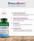 OmegaBerry Fish Oil with Vitamin D3 and Organic Acai 1250mg Concentrated Molecularly Distilled Ultra Pure Omega3 Fish Oil 500mg DHA 650mg EPA 60 Soft Gels 30 Day Supply from Purity Products