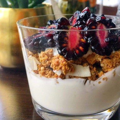 Julian Bakery ProGranola Cereal | Vegan | Vanilla Cluster | 12g Protein | 2 Net Carbs | Gluten-Free | Grain-Free | 3 Pack