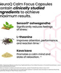 Neuroq Calm Focus Capsules - Stress Relief Supplement - Supports Mental Function & Relaxation - Sensoril Ashwagandha, Magnesium, Gaba, L-Theanine, Andean Cocoa & Kava Kava - 60 Capsules