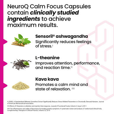 Neuroq Calm Focus Capsules - Stress Relief Supplement - Supports Mental Function & Relaxation - Sensoril Ashwagandha, Magnesium, Gaba, L-Theanine, Andean Cocoa & Kava Kava - 60 Capsules