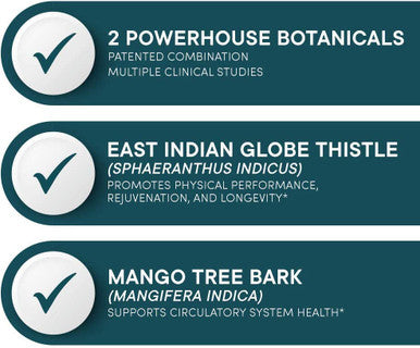 Muscle Accelerator Mens Perfect Multi Bundle Purity Products Clinically Tested Muscle Accelerator Blend Advanced Mens Multivitamin Promotes Strength Supports Healthy Testosterone Levels