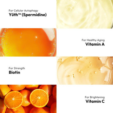BigVita Yuth Gummy + | Spermidine-Infused Supplement for Glowing Skin, Strong Hair & Nails | Biotin, Vitamin C & Vitamin A for Collagen Support & Cellular Renewal | Anti-Aging Wellness Gummies