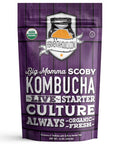 Fermentaholics Big Momma Kombucha Scoby With Twelve Ounces Of Starter Tea - Live Kombucha Starter Culture | Extra Large 6" Pellicle | Makes A One Gallon Batch | 1.5 Cups Of Strong Mature Starter Tea