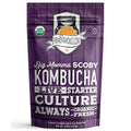 Fermentaholics Big Momma Kombucha Scoby With Twelve Ounces Of Starter Tea - Live Kombucha Starter Culture | Extra Large 6" Pellicle | Makes A One Gallon Batch | 1.5 Cups Of Strong Mature Starter Tea