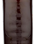 365 by Whole Foods Market, Organic Amber Mountain Forest Honey, 24 Ounce