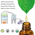 Aromatherapy Essential Oils Kits - DALEME 100% Pure Therapeutic Grade Gift Sets for Oil Diffuser, Massage including Tea Tree/Peppermint/Sweet Orange/Lavender/Eucalyptus/Lemongrass