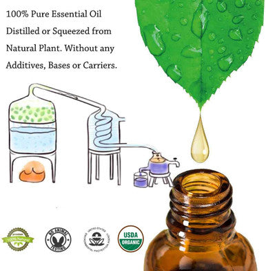 Aromatherapy Essential Oils Kits - DALEME 100% Pure Therapeutic Grade Gift Sets for Oil Diffuser, Massage including Tea Tree/Peppermint/Sweet Orange/Lavender/Eucalyptus/Lemongrass