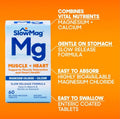 Slowmag Mg Muscle + Heart Supports Muscle Relaxation And Heart Health. Magnesium Chloride + Calcium SlowRelease Tablets Easy To Absorb And Gentle On The Stomach. 60 Count (Pack Of 2)