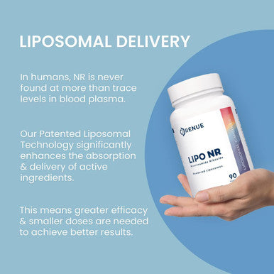 Renue By Science Nicotinamide Riboside High Strength Liposomal Nad Supplement 90 Nicotinamide Capsules 300Mg Nicotinamide Riboside Per Serving Manufactured In The Usa Third-Party Tested