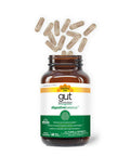 Country Life Gut Connection Digestive Balance 60 Vegan Capsules Certified Gluten Free Certified Vegan Non-Gmo Verified