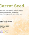 Aura Cacia Carrot Seed Essential Oil GC/MS Tested for Purity 15ml 0.5 fl. oz.