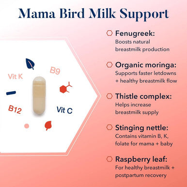 Best Nest Wellness Mama Bird Milk Support Fenugreek & Moringa Blend Lactation Supplement Lactation Support for Breastfeeding Milk Production Supplements Breastmilk Supply Increase Supplement 60Ct