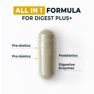 4-in-1 Prebiotic Probiotic & Postbiotic for Women & Men Complete Gut & Digestive Support Supplement Pre Post Probiotics & Digestive Enzymes 60 Capsules,Made in USA