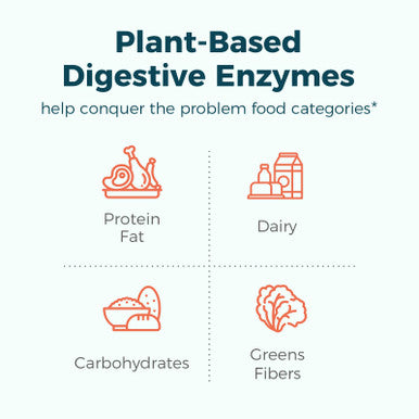 NewRhythm Digestive Enzymes 245 mg with Probiotics and Prebiotics Plant Based 7 Key Enzymes Digestion Nutrient Absorption Protease Amylase & Lipase 60 Vegan Capsules