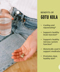 Banyan Botanicals Gotu Kola (Centella Asiatica) Organic Adaptogen & Nootropic Brain Support Supplement For Healthy Memory & Concentration* 90 Tablets Fairly Traded Sustainably Sourced Vegan