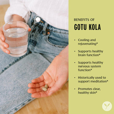 Banyan Botanicals Gotu Kola (Centella Asiatica) Organic Adaptogen & Nootropic Brain Support Supplement For Healthy Memory & Concentration* 90 Tablets Fairly Traded Sustainably Sourced Vegan