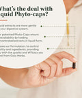 Gaia Herbs Thyroid Support - Made with Ashwagan, Kelp, Brown Seaweed, and Schisandra to Support Healthy Metabolic Balance and Overall Well-Being - 60 Vegan Liquid Phyto-Capsules (20-Day Supply)