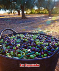 LA ESPAÃƒÆ’Ã¢â‚¬ËœOLA First Cold Pressed Extra Virgin Olive Oil, 24 OZ