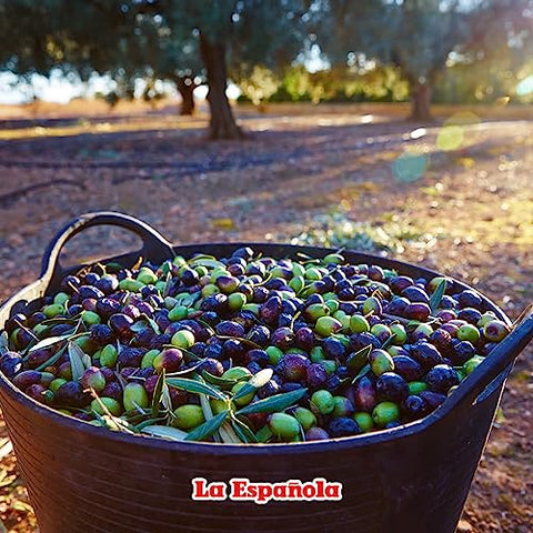 LA ESPAÃƒÆ’Ã¢â‚¬ËœOLA First Cold Pressed Extra Virgin Olive Oil, 24 OZ