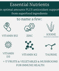 Dr. Fuhrman Daily Whole Food Multivitamin For Men - 120 Capsules, Vegan Formula For Optimal Health And Vitality, Specifically Designed For Men Over 50