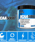 Evlution EVL BCAAs Amino s Powder - BCAA Powder Post Workout Recovery Drink and Stim Free Pre Workout Energy Drink Powder - 5g Branched Chain Amino s Supplement for Men - Blue Raz