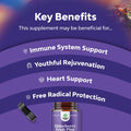 Natures Craft Black Elderberry Capsules Antioxidant Supplement - Elderberry Immune Support Skin Supplement with Skin Vitamins and Sambucus Elderberry Extract - Elderberry Supplement Immune System Support Supplement