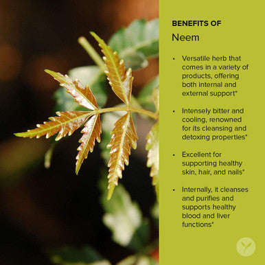 Banyan Botanicals Neem Powder - Organic Azadirachta Indica - Purifying Ayurvedic Herb For Healthy Skin & Blood 1/2 Lb