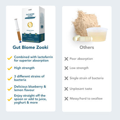 ZookiÃƒâ€šÃ‚Â® Gut Biome | Advanced Multi Strain Probiotics | Gut Health Digestive System - (Blueberry Lemon Flavour 30 Servings Pack of 1)