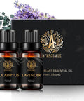 Aromatherapy Lavender Essential Oils Set, 100% Pure Eucalyptus Scent Essential Oils Set,2X10ml Therapeutic Grade Eucalyptus Aromatherapy Essential Oils Lavender Fragrance Kit for Diffuser, Humidifier