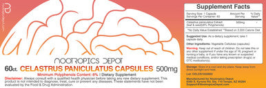 Nootropics Depot Celastrus Paniculatus Extract Capsules | 500mg | 60 Count | Minimum 8% Polyphenols | Intellect Tree