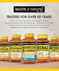 Mason Natural Cinnamon 1000 Mg 100 Capsules (Pack Of 3) Herbal Dietary Supplement
