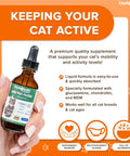 Liquidhealth 2.3 Oz Liquid Cat Glucosamine Joint Purr-Fection - Hip and Joint Support Chondroitin Feline Droppers - Senior Older Cats Kittens