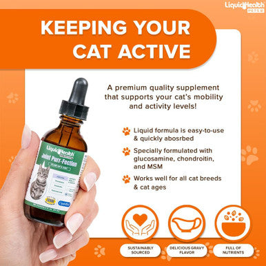 Liquidhealth 2.3 Oz Liquid Cat Glucosamine Joint Purr-Fection - Hip and Joint Support Chondroitin Feline Droppers - Senior Older Cats Kittens