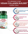 Purity Products Vegan Collagen Builder Organic Whole Foods Fruits Veg Silica Lutein Vitamin C Biotin Grape Seed Amino Acids Glycine Lysine Proline Collagen Boosters Once A Day 30 Tablets