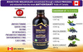 IMMUNIA Synergy - Elderberry and Blueberry Syrup Powerful Polyphenols Antioxidant Alcohol-Free and No Sugar Added - Made In Canada