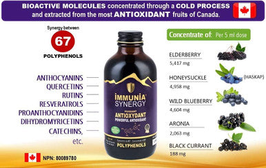 IMMUNIA Synergy - Elderberry and Blueberry Syrup Powerful Polyphenols Antioxidant Alcohol-Free and No Sugar Added - Made In Canada