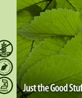 Nature'S Answer Slippery Elm 2 Ounce Extract - Low Organic Alcohol Supports Mucous Membranes Kosher Gluten Made in USA Supports Female Wellness