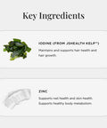 JSHealth Vitamins Beauty Favorites Bundle - Includes Hair + Energy Hair Vitamins & Vitality X + Collagen Beauty Powder Supplement