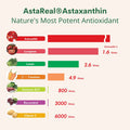 Double Wood Supplements Astaxanthin 12mg Max Strength AstaReal Natural Patented Astaxanthin with 70 Human Clinical Trials Worlds Most Studied Brand Grown Harvested and Made in The USA by