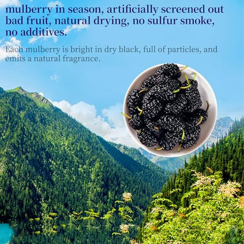 Premium Dried Black Mulberries Dried Mulberries Black Mulberry Tea Herbal Tea No Sugar Added & No Additives Dried Fruit Snack Ã©Â»â€˜Ã¦Â¡â€˜Ã¦Â¤Â¹Ã¥Â¹Â² Ã¦Â¡â€˜Ã¨â€˜Å¡ 280g/10oz
