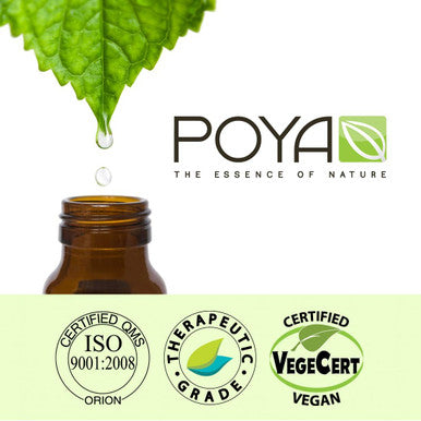 Lime Essential Oil 30 ml